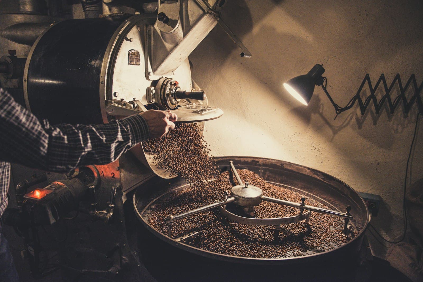 Roasted coffee beans discharging from a roaster into a cooling tray