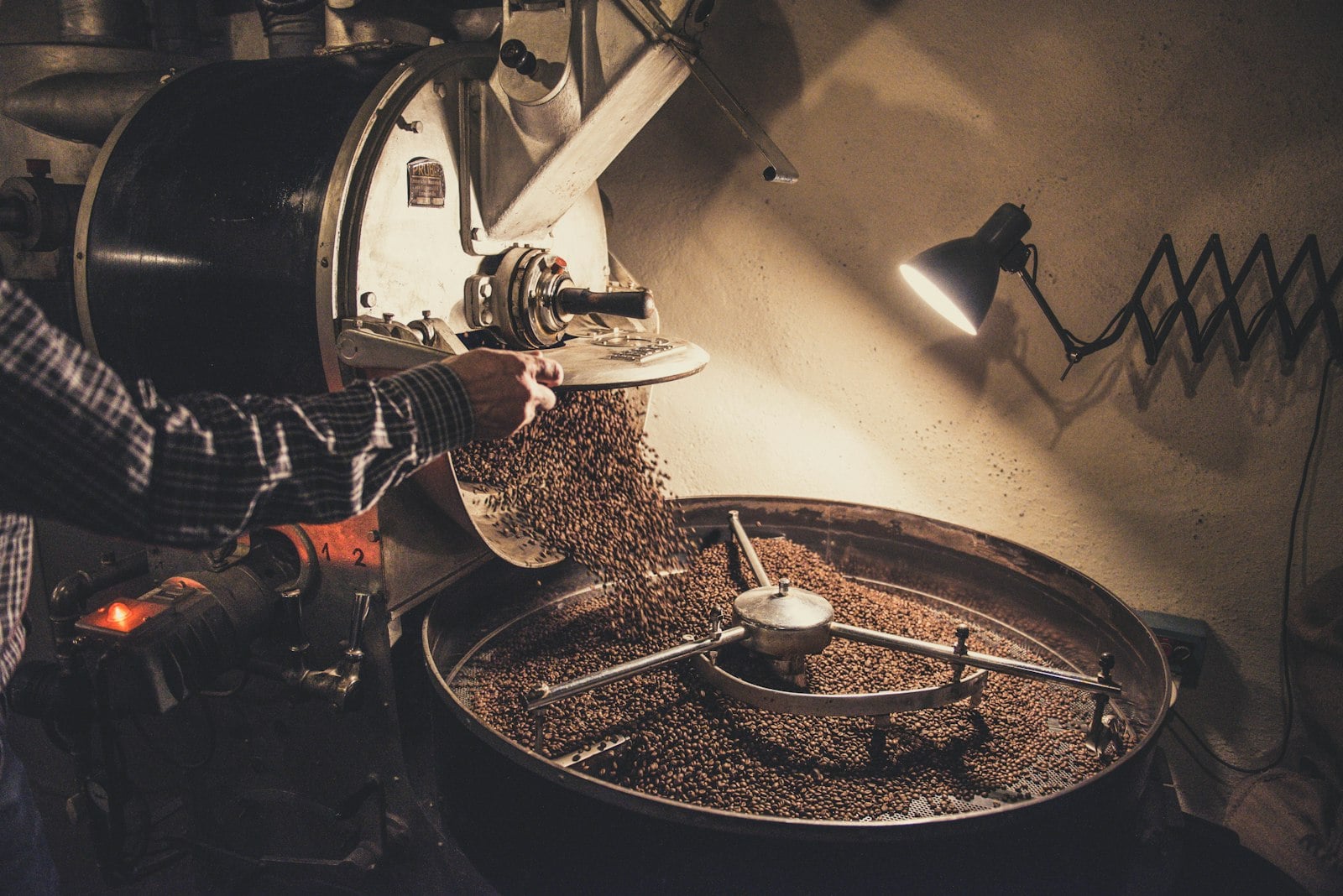 Roasted coffee beans discharging from a roaster into a cooling tray