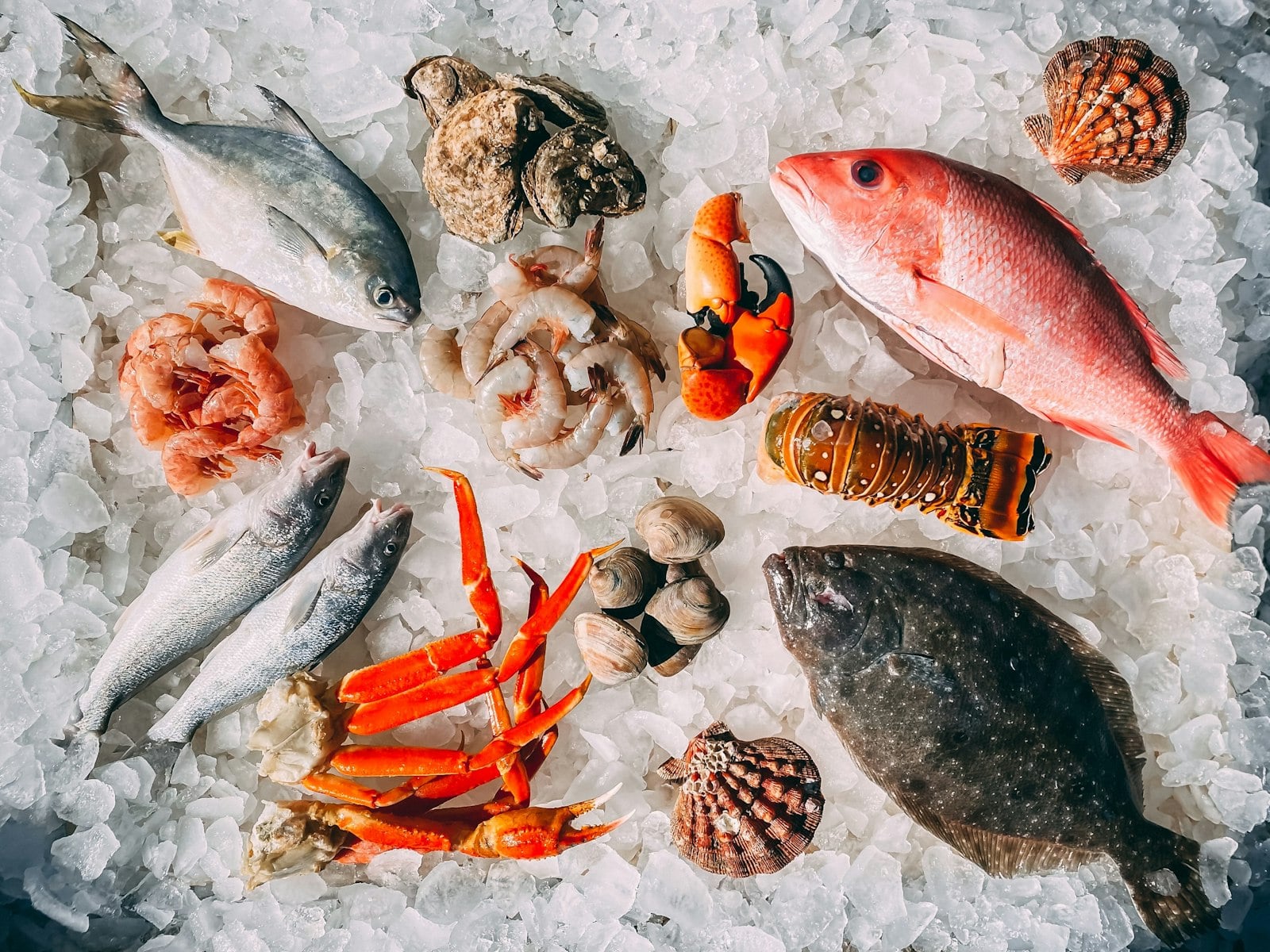 A seafood counter ready for a casual San Diego neighborhood meal