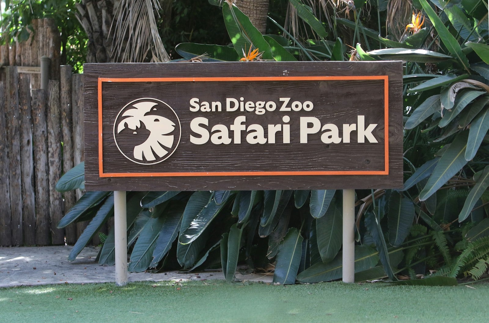 San Diego Zoo Safari Park entrance sign surrounded by tropical plants