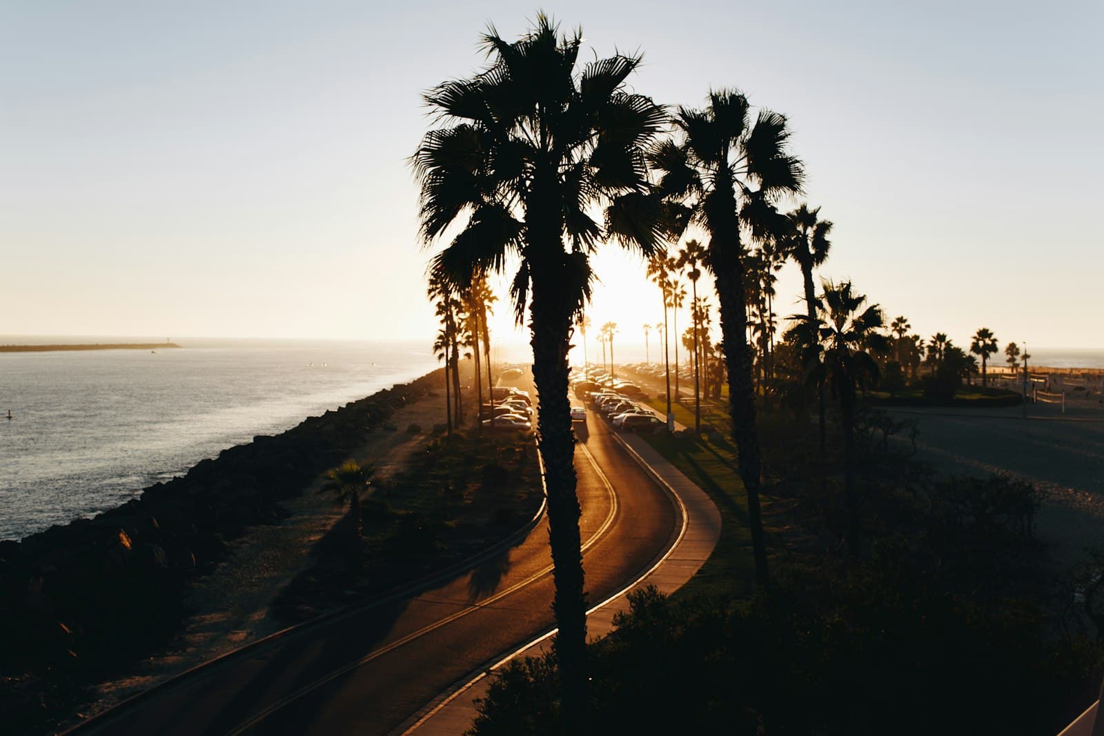 Palms silhouetted above a coastal road curving toward the low sun, ocean on the left