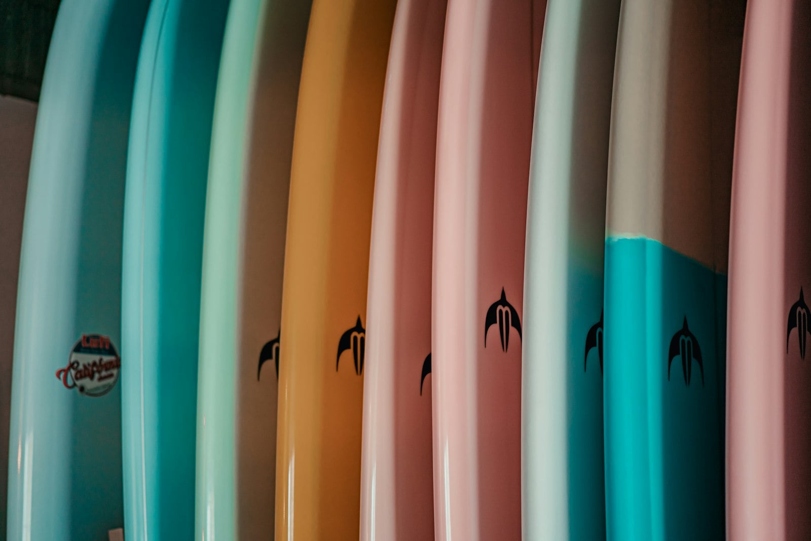 Surf instructor steadying a student's longboard in waist-deep whitewater
