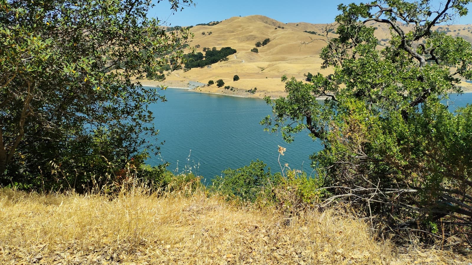 San Carlos & Del Cerro, San Diego