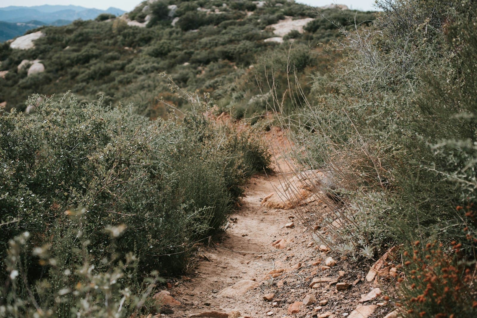 Serra Mesa & Tierrasanta, San Diego