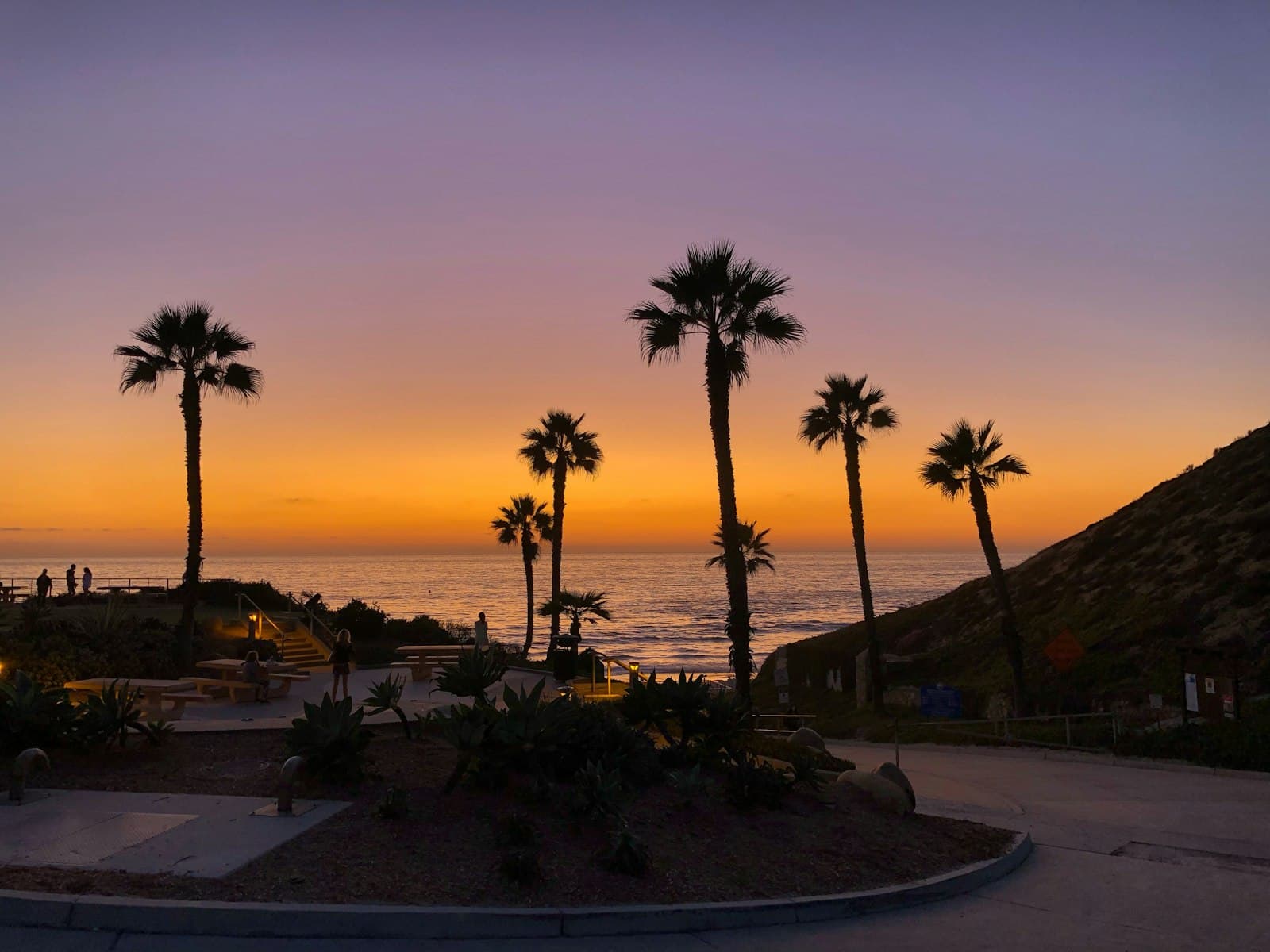 Palm trees silhouetted against a violet and orange sunset above the ocean