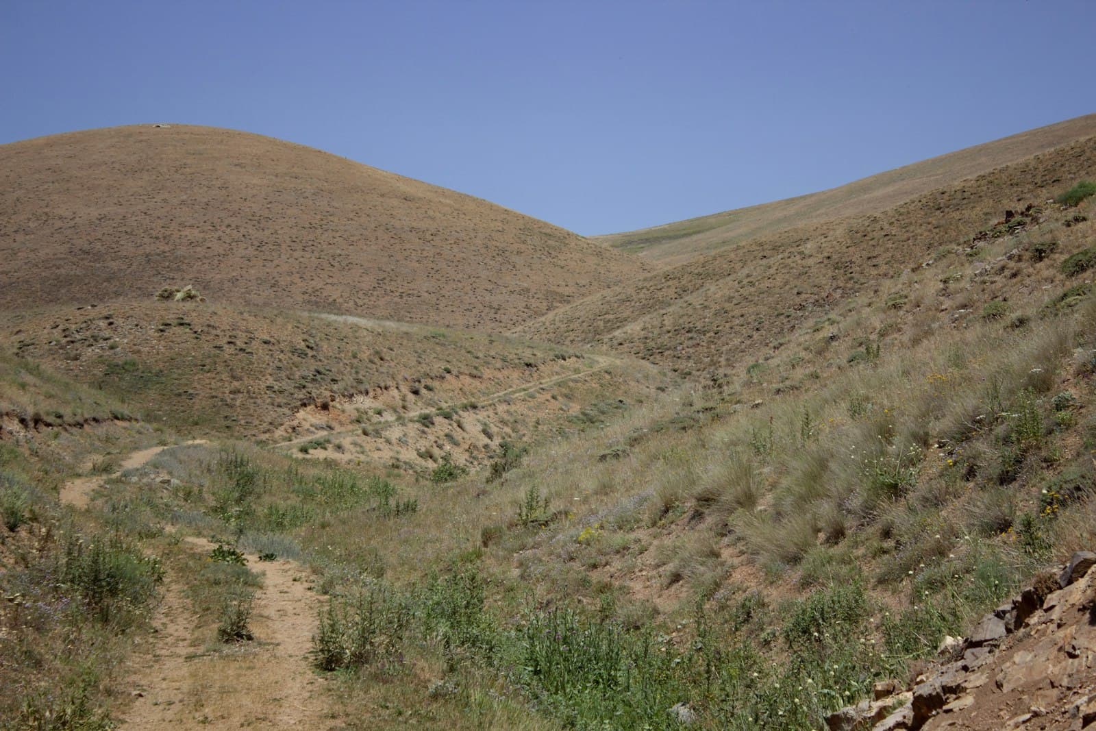 Spring Valley & Rancho San Diego, San Diego