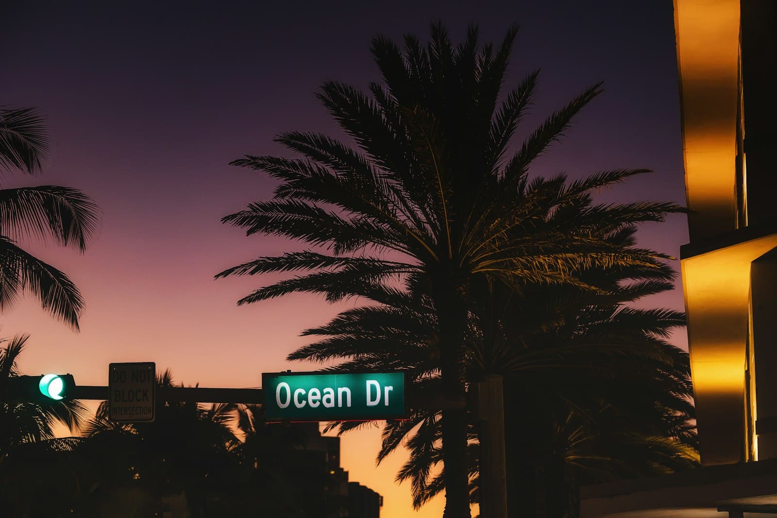A street sign reading Ocean Dr beneath a palm tree against a deep violet dusk sky